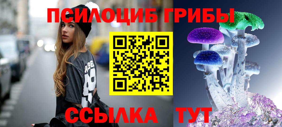 Псилоцибиновые грибы Magic Shrooms  Вход с VPN  Псилоцибиновые грибы Magic Shrooms  Киров 